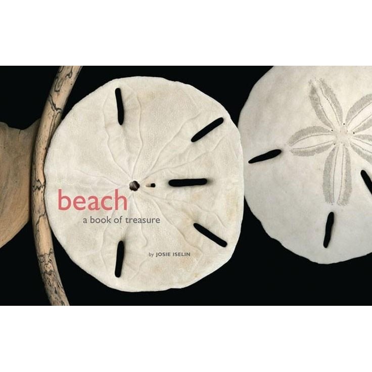Beach - Josie Iselin