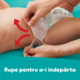 Scutece-Chilotel Pampers Active Baby XXL Box, Marimea 5, 11kg-17kg, 152 buc