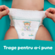 Scutece-Chilotel Pampers Active Baby Pants Carry Pack, Marimea 6, 13-19kg, 19 buc