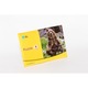 Puzzle Urs, AHA, 4 piese, 210 x 210 mm