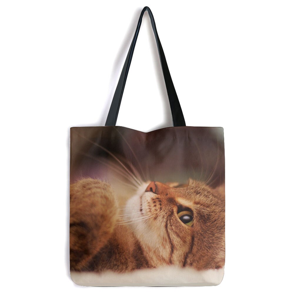 Geanta Tote Bag Art Star, Pisica rasfatata in casa, Animale, Model Multicolor, 40 x 50 cm
