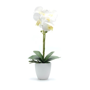 Orhidee artificiala siliconata cu aspect 100% natural in bol de ceramica, 50 cm, Alb Orhidee artificiala siliconata cu aspect 100% natural in bol de ceramica, 50 cm, Alb