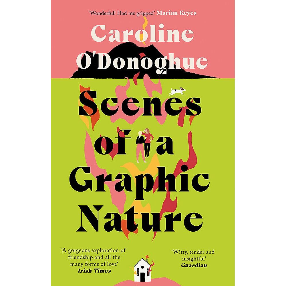 Scenes of a Graphic Nature - Caroline O'Donoghue, editia 2021