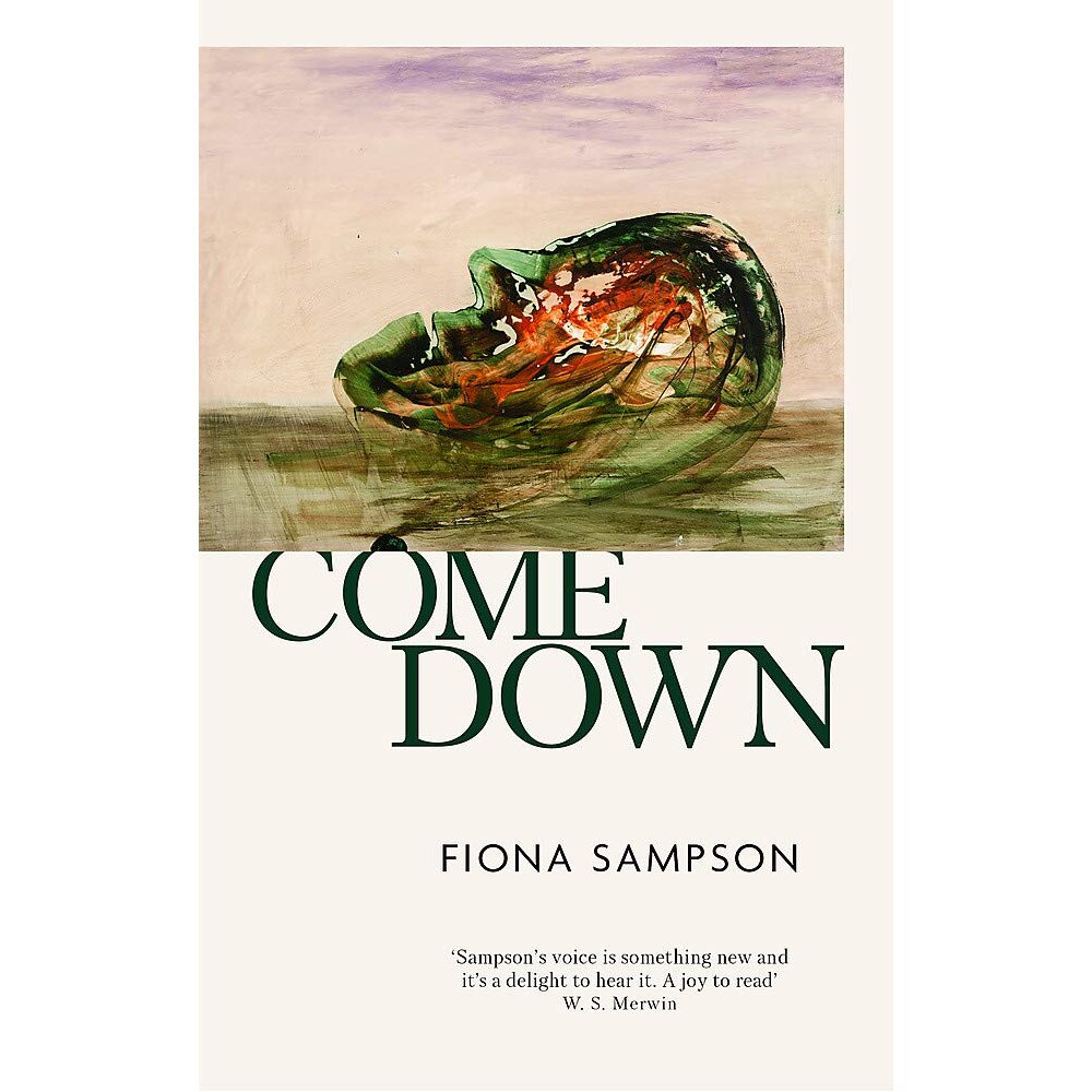 Come Down - Fiona Sampson