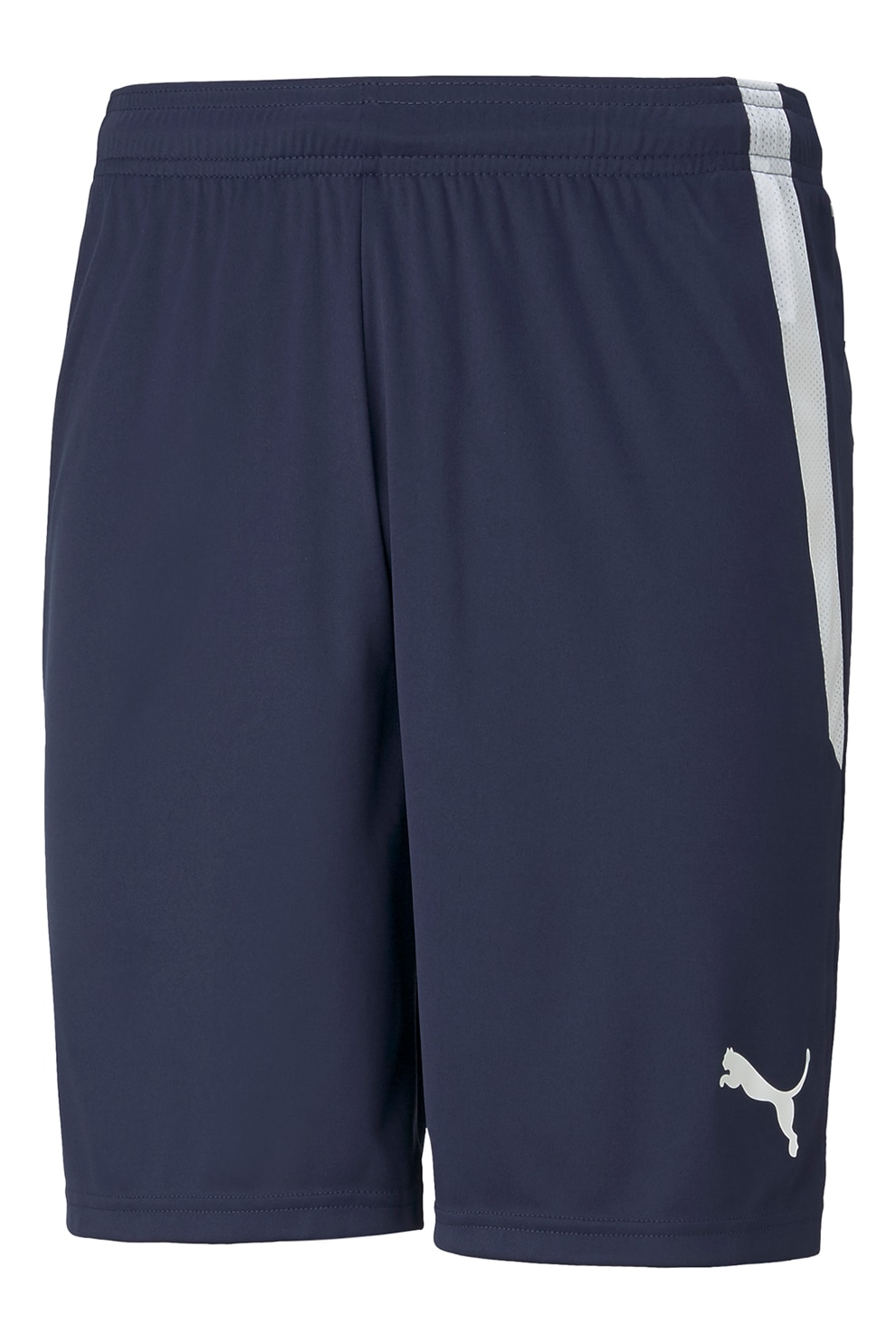 Puma, Pantaloni scurti pentru fotbal teamLIGA, Bleumarin