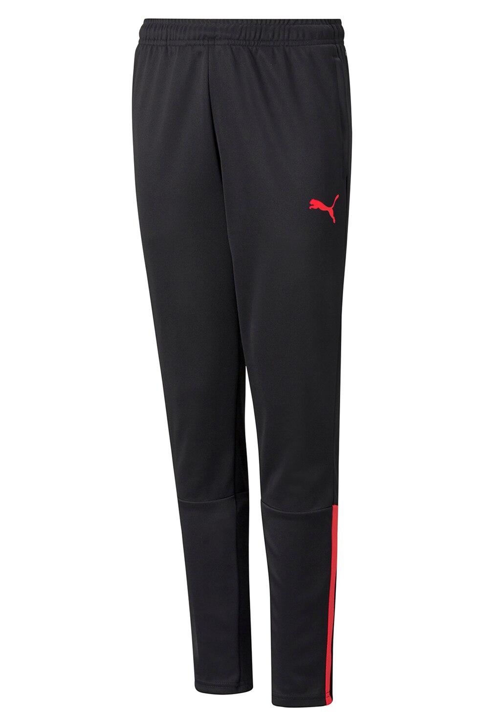 Puma, Pantaloni pentru fitness teamLIGA, Negru