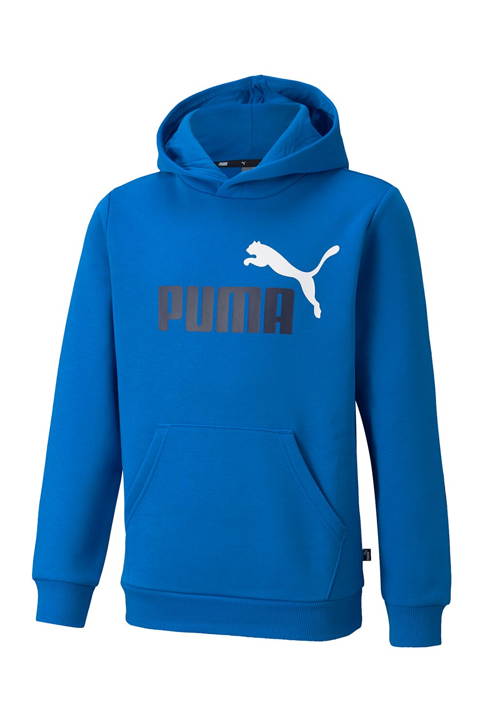 Puma, Hanorac baieti, cu logo Essentials +2 Colour Big, Albastru/Negru/Alb optic