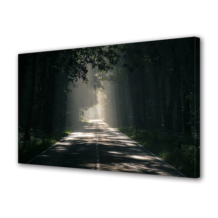 Tablou Canvas Premium, Art Star, Drum luminat in fata, Urban, Panza pe cadru de lemn, Decoratiuni Moderne pentru Casa, 30 x 45 cm