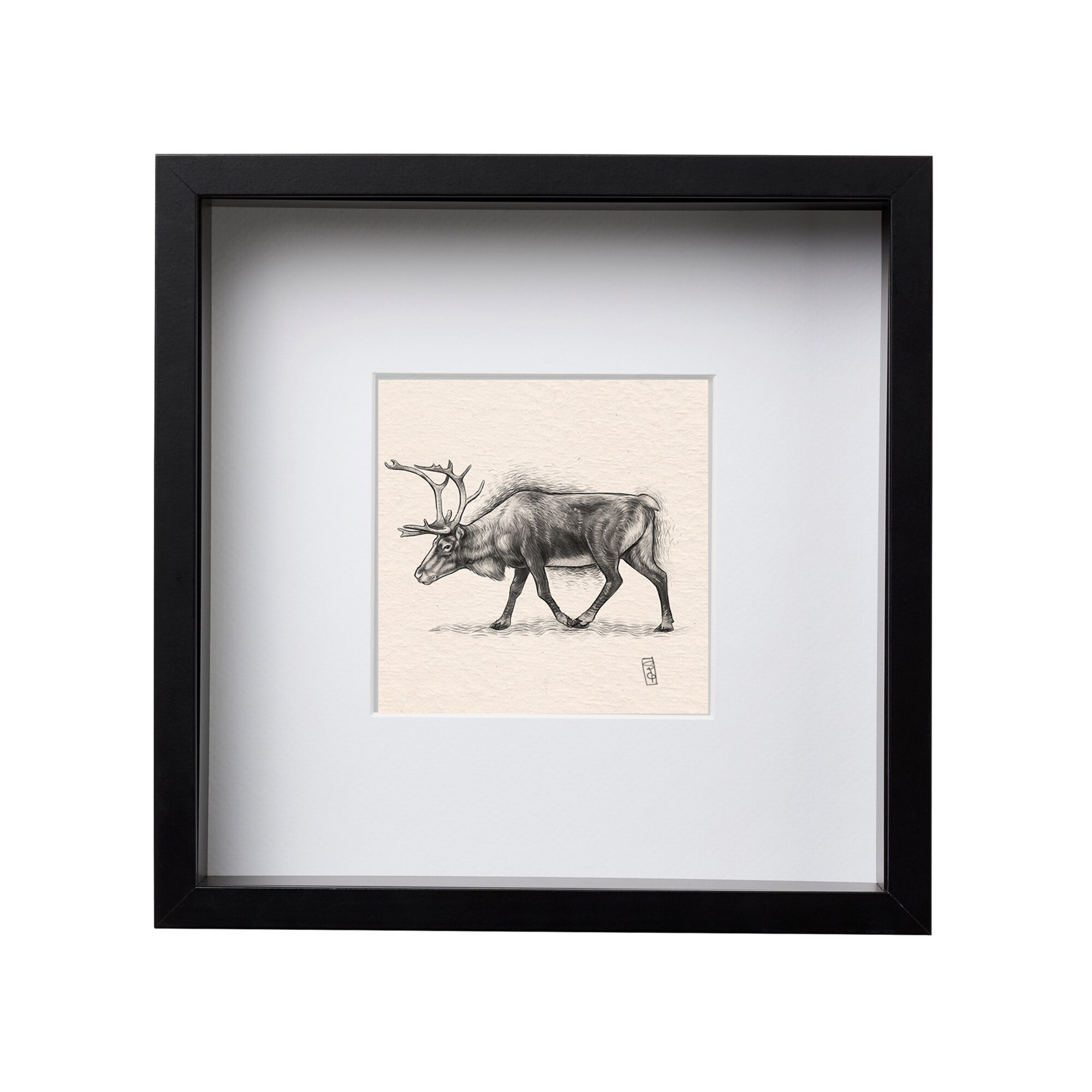Tablou Ren, ilustratie Gabriel Serban, rama patrata 25x25, negru
