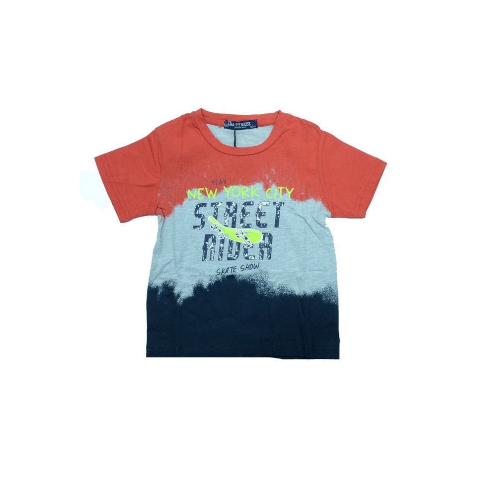 Tricou cu maneca scurta baieti Happy House HB-2218RO1, Multicolor
