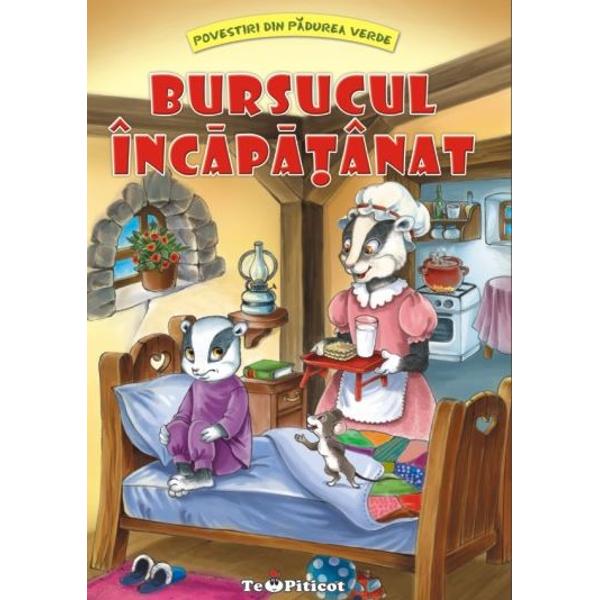 Bursucul incapatanat - Claudia Cojocaru