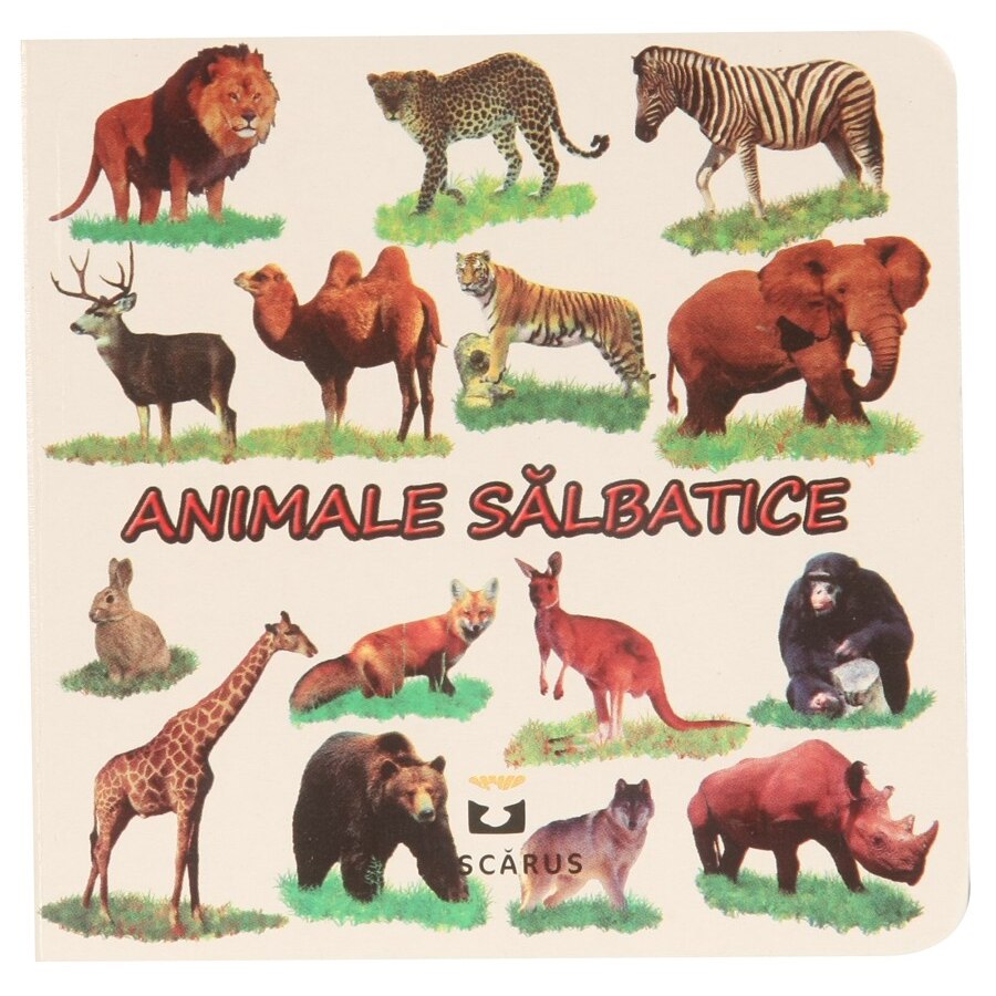 Animale salbatice - Toma Costinel Daniel
