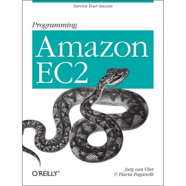 Programming Amazon EC2 de Jurg Van Vliet