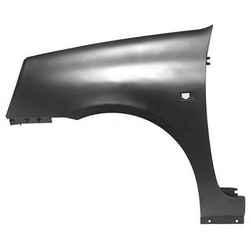 Aripa stanga Renault Clio II 98 – 09