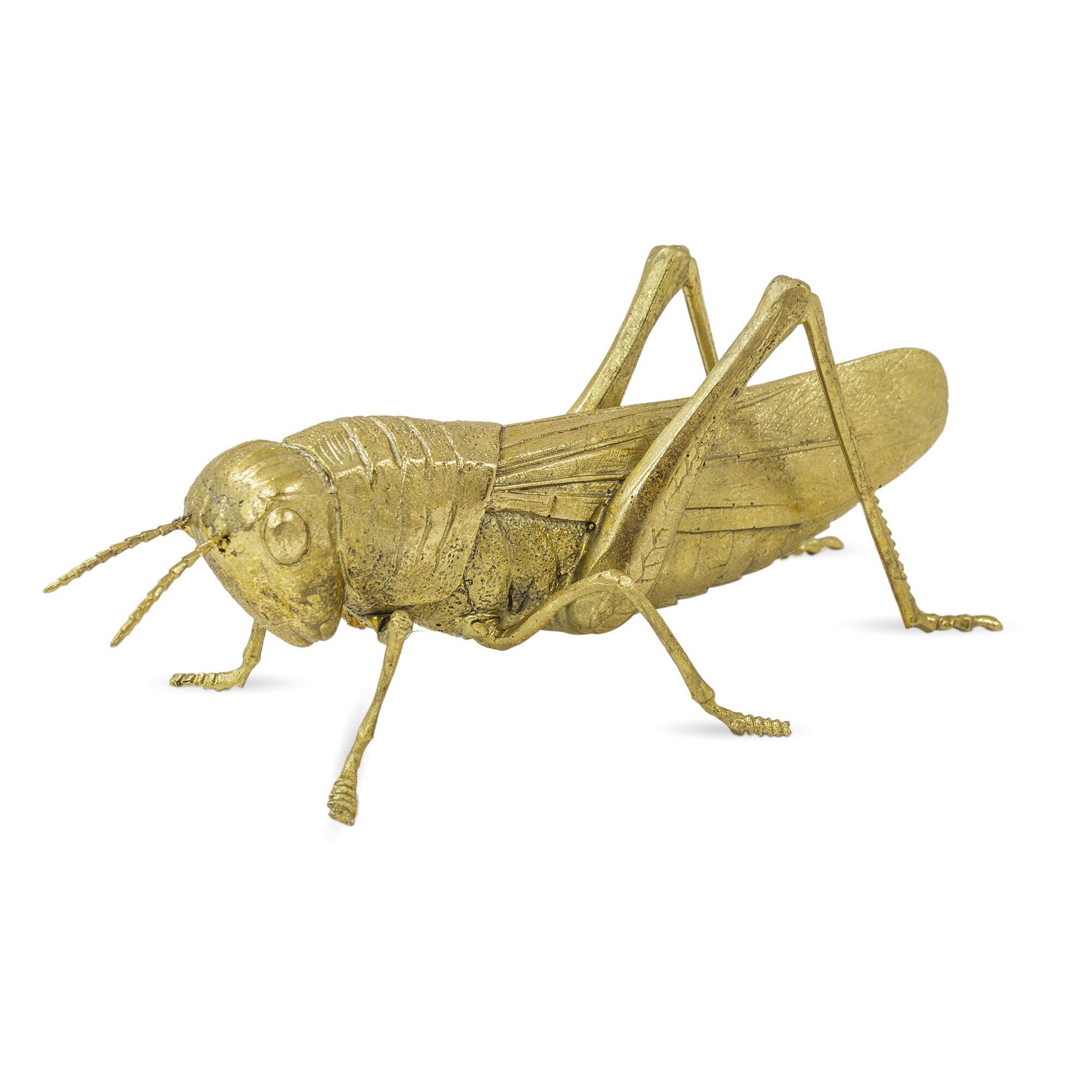 Decoratiune lacusta, auriu, 10x25x12 cm