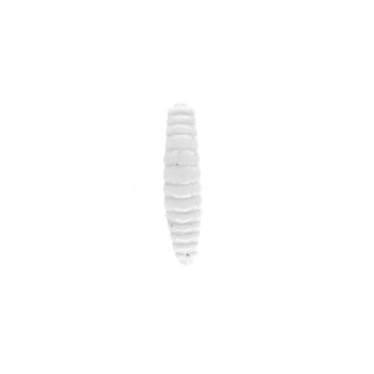 Naluca Trout Campione Fat Grub Intense White 3.4cm