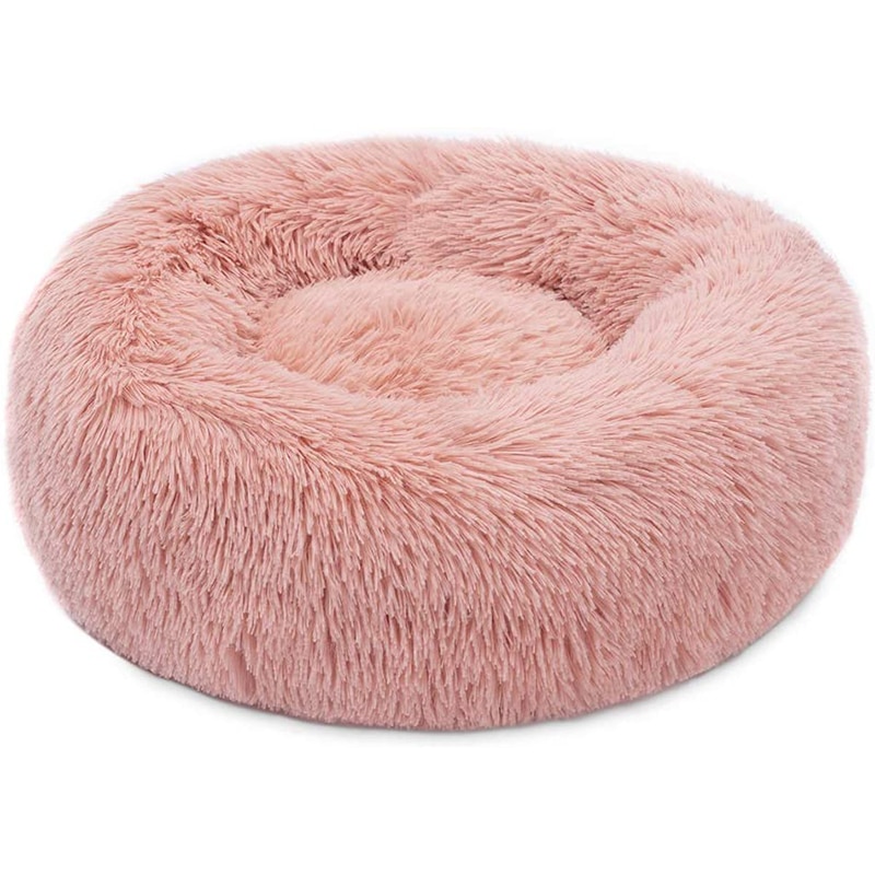 Cauți proteza ortopedica caini? Alege din oferta eMAG.ro