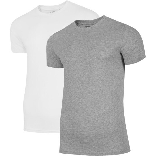 Set de 2 bucati, Tricou pentru barbati, 4F, regular fit, multicolor
