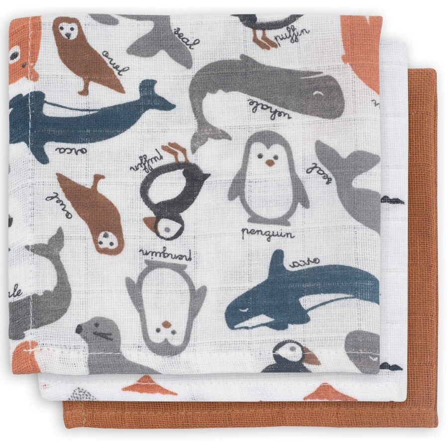 Set 3 batiste hidrofile, Jollein Polar, 31x31 cm