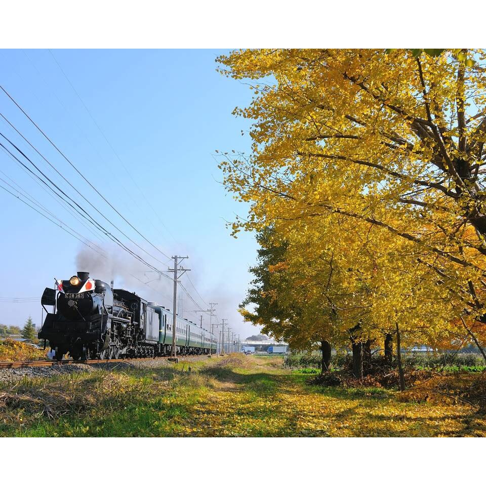 Tablou canvas 90x50 cm, Locomotive model 6