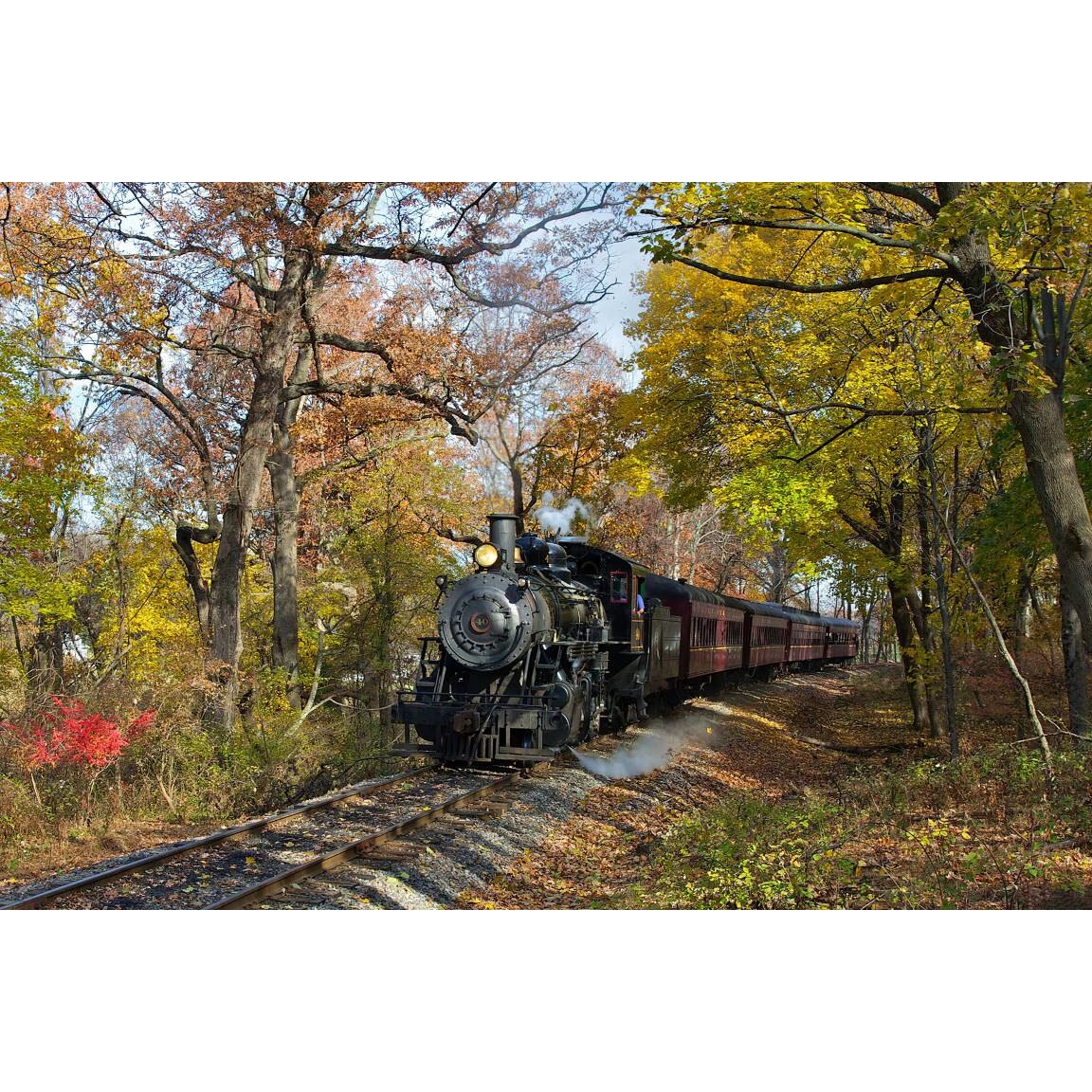 Tablou canvas 75x50 cm, Locomotive model 1