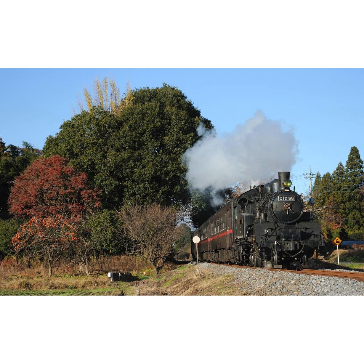 Tablou canvas 90x50 cm, Locomotive model 56