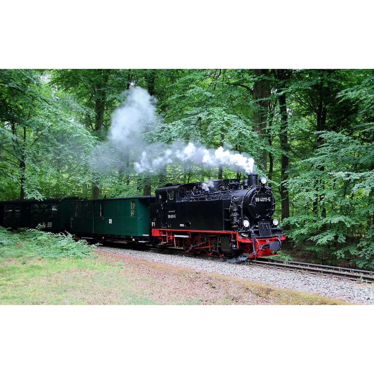 Tablou canvas 90x50 cm, Locomotive model 5