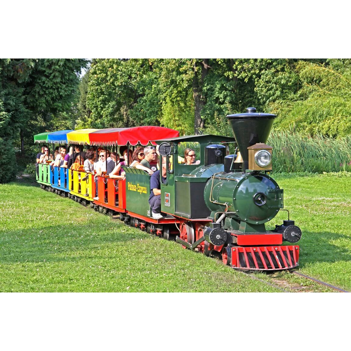 Tablou canvas 75x50 cm, Locomotive model 10