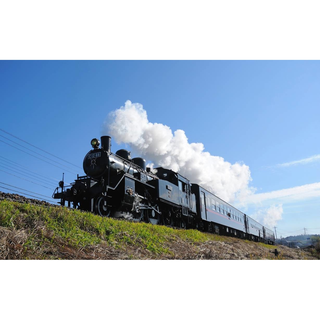 Tablou canvas 75x50 cm, Locomotive model 154