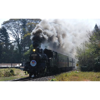 Tablou canvas 90x50 cm, Locomotive model 102 Tablou canvas 90x50 cm, Locomotive model 102