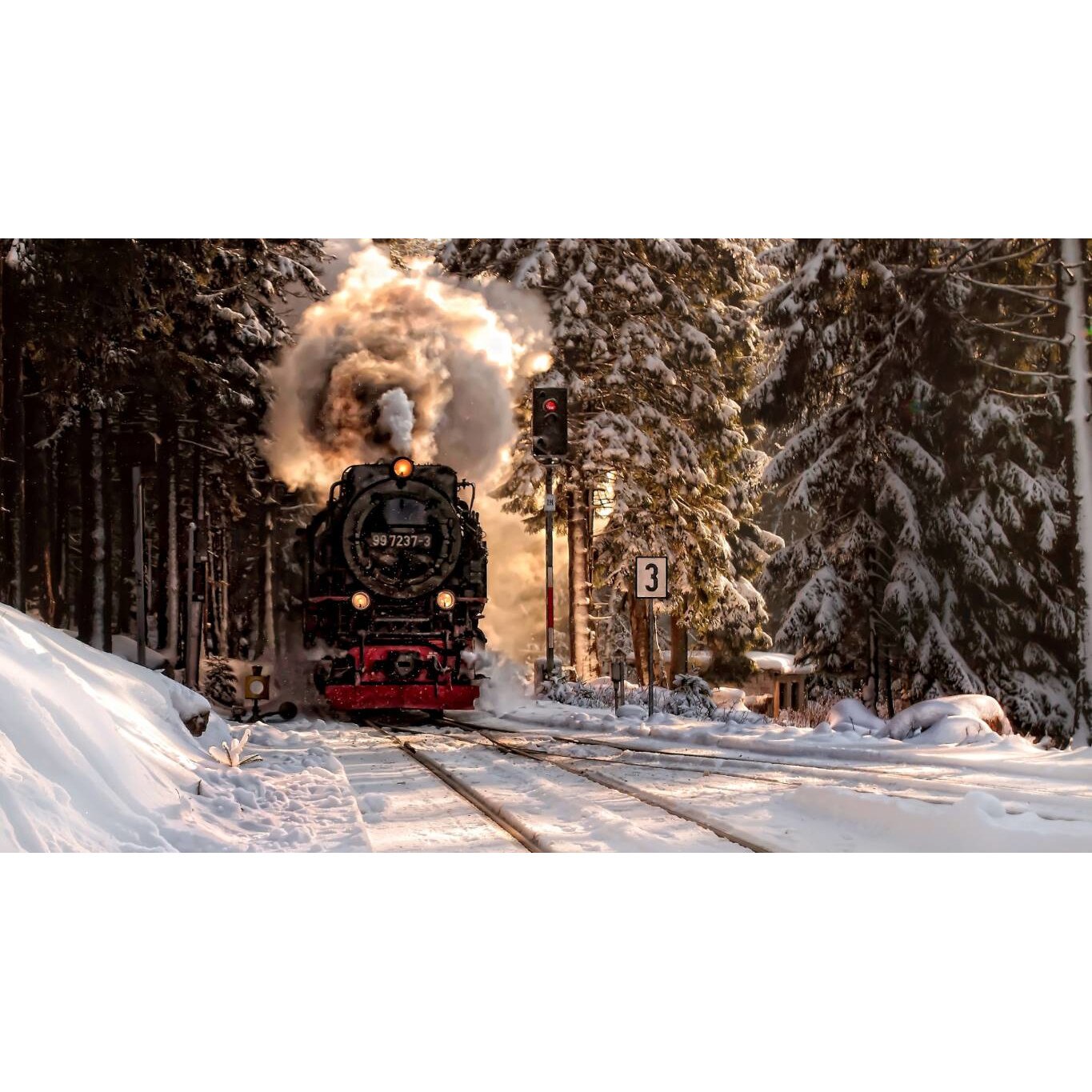 Tablou canvas 75x50 cm, Locomotive model 157