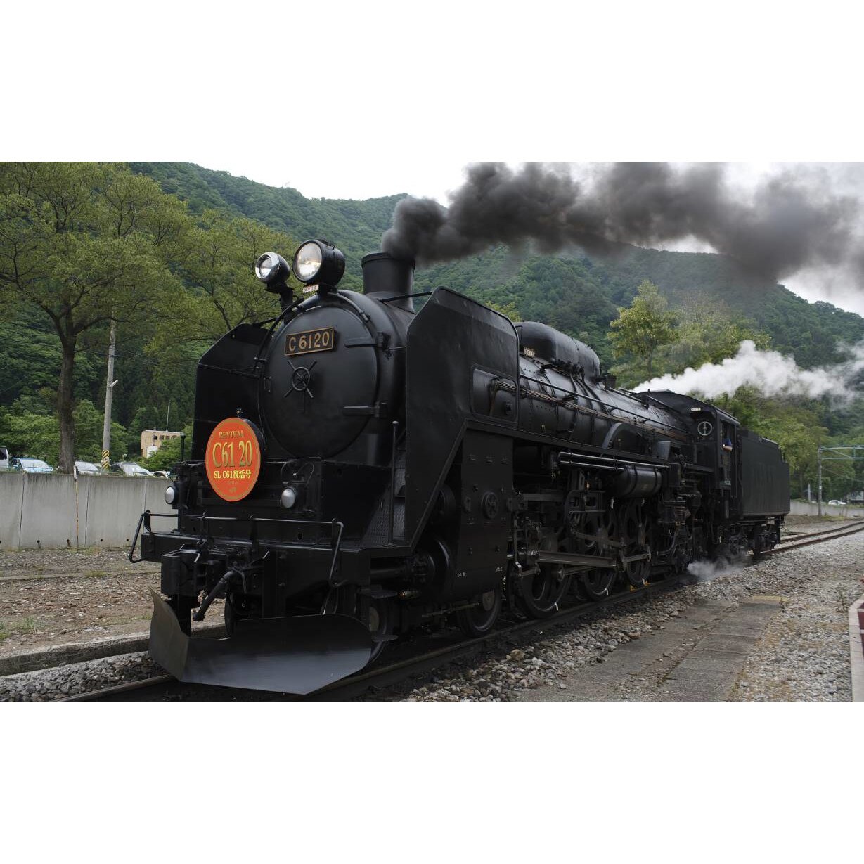 Tablou canvas 75x50 cm, Locomotive model 151