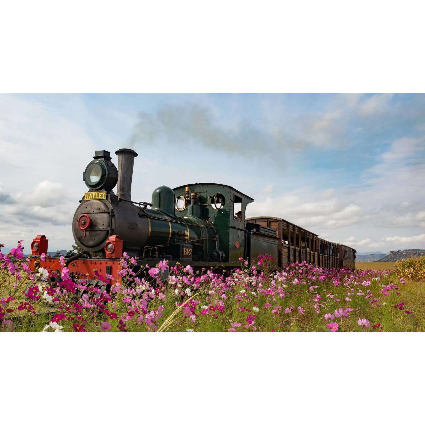 Tablou canvas 75x50 cm, Locomotive model 156