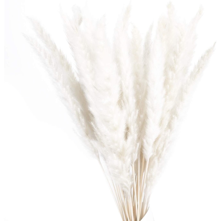 Висока пампас трева, суха, естествено запазена, 120 см, първокласно качество, Безупречно бяло