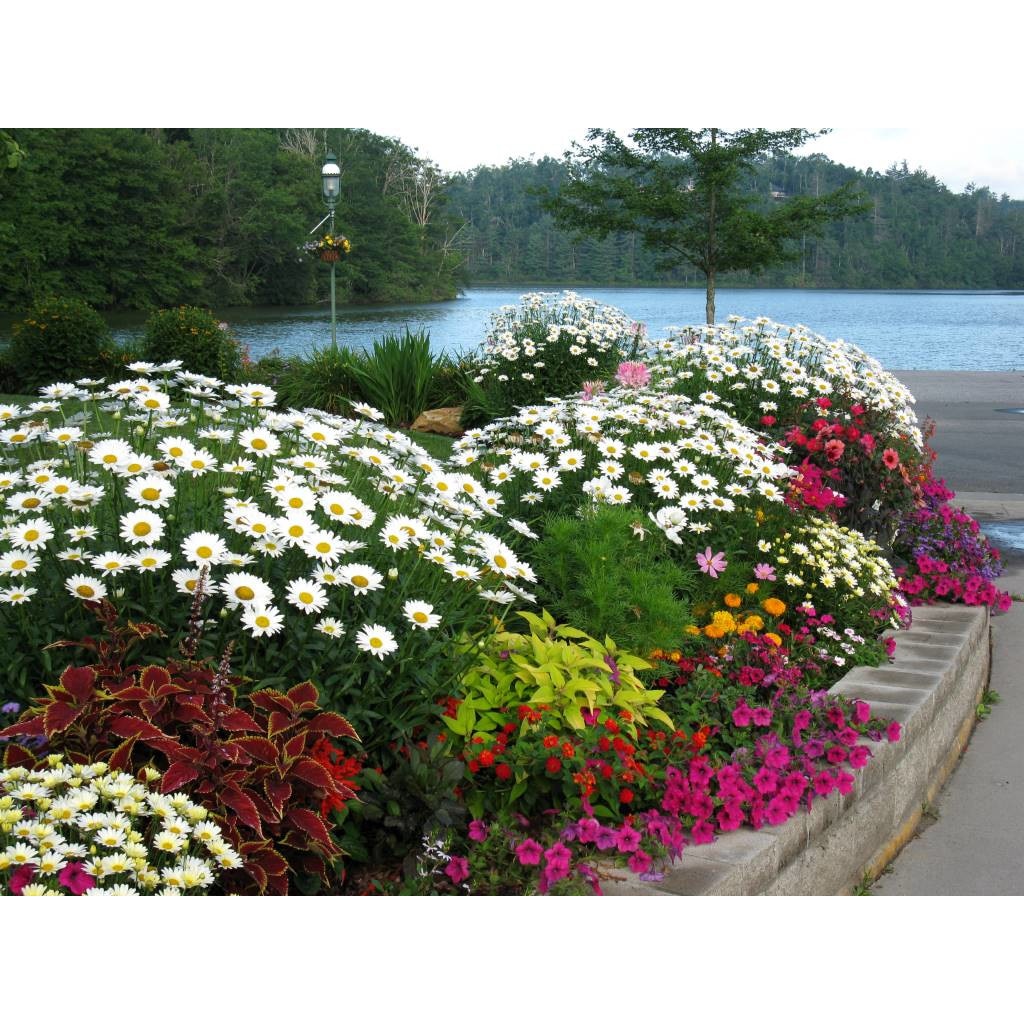 Tablou canvas 75x50 cm, Natura cu Flori model 23