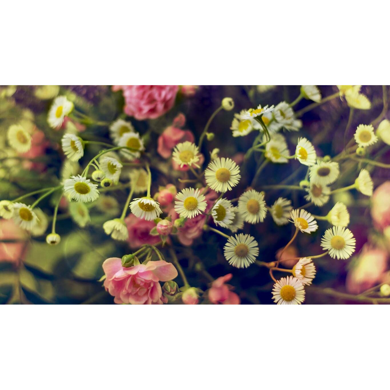 Tablou canvas 75x50 cm, Natura cu Flori model 56