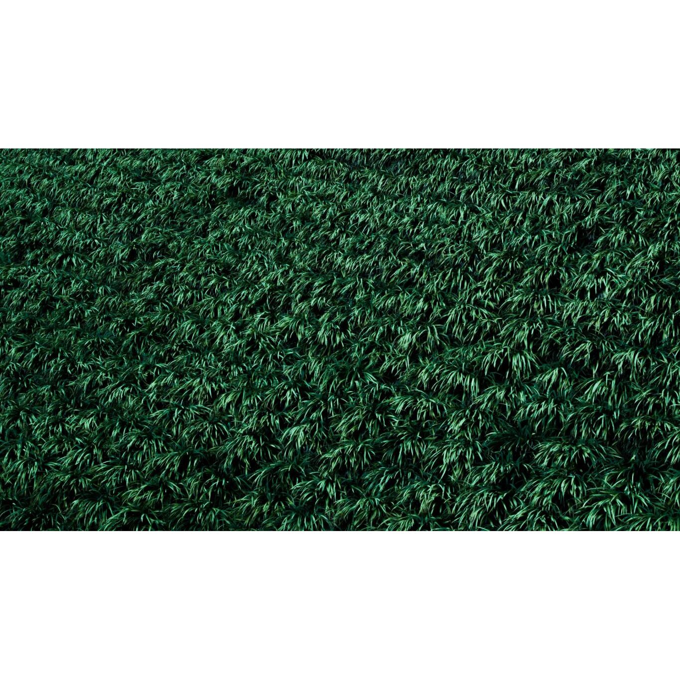 Tablou canvas 75x50 cm, Natura cu Flori model 46