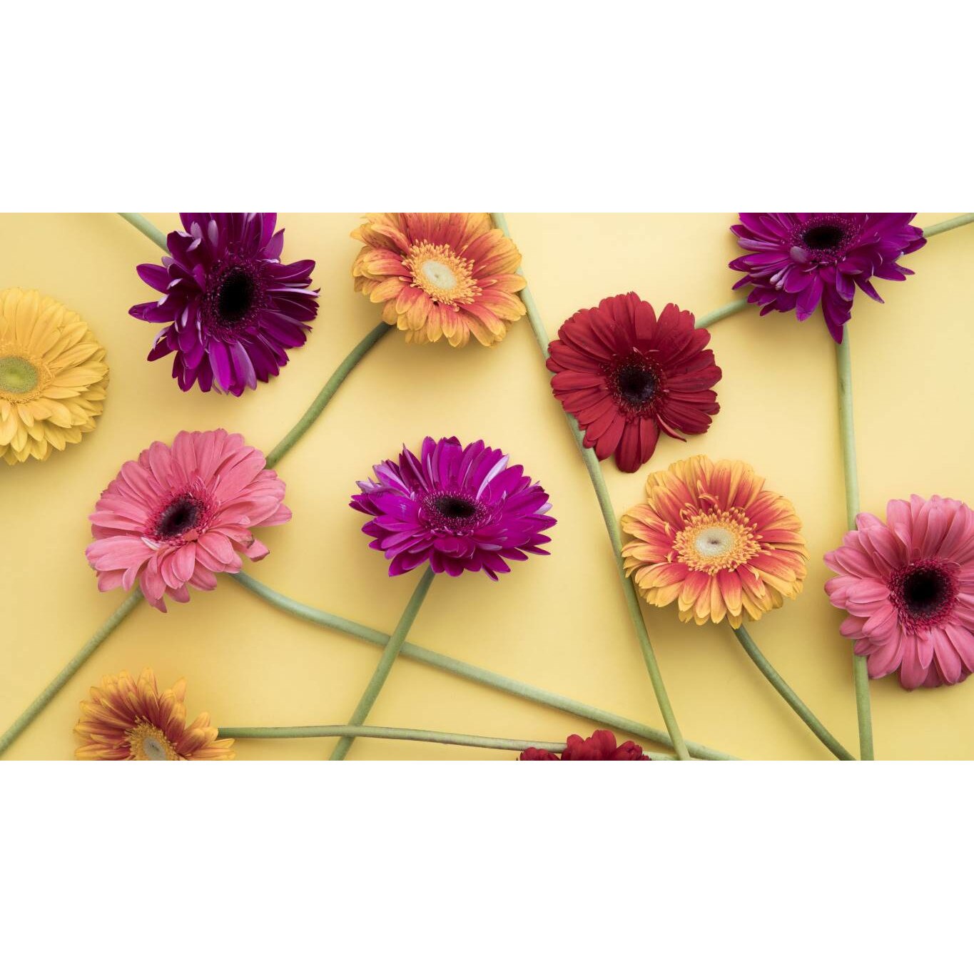 Tablou canvas 75x50 cm, Natura cu Flori model 11