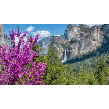 Tablou canvas 90x50 cm, Natura cu Flori model 6 Tablou canvas 90x50 cm, Natura cu Flori model 6