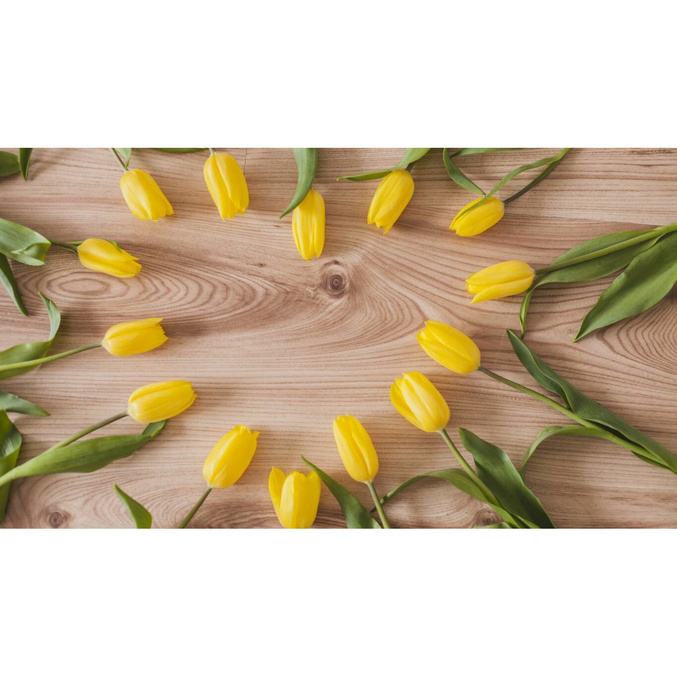 Tablou canvas 75x50 cm, Natura cu Flori model 48