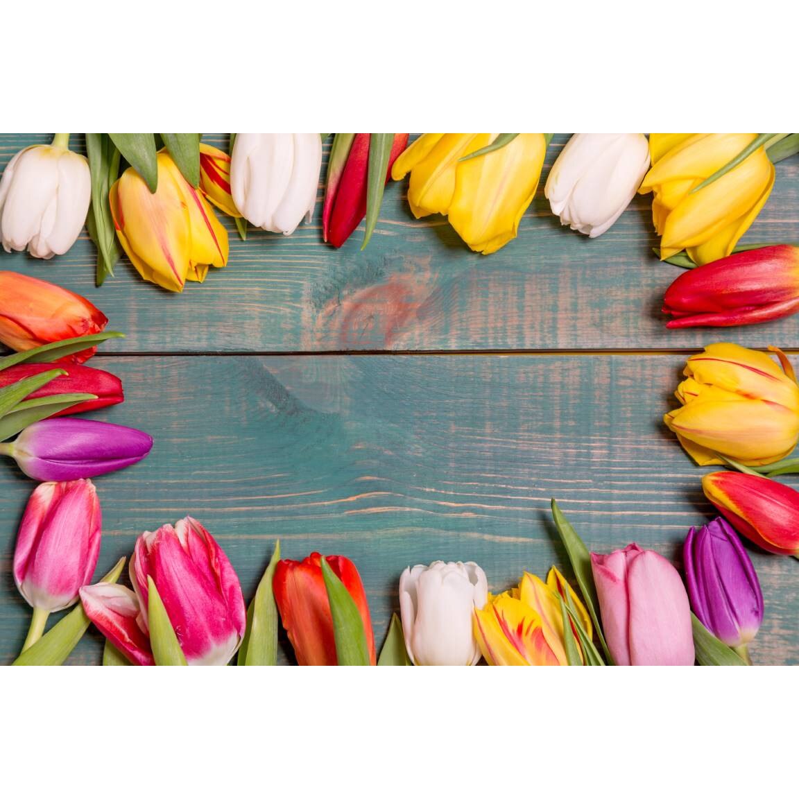 Tablou canvas 90x50 cm, Natura cu Flori model 64