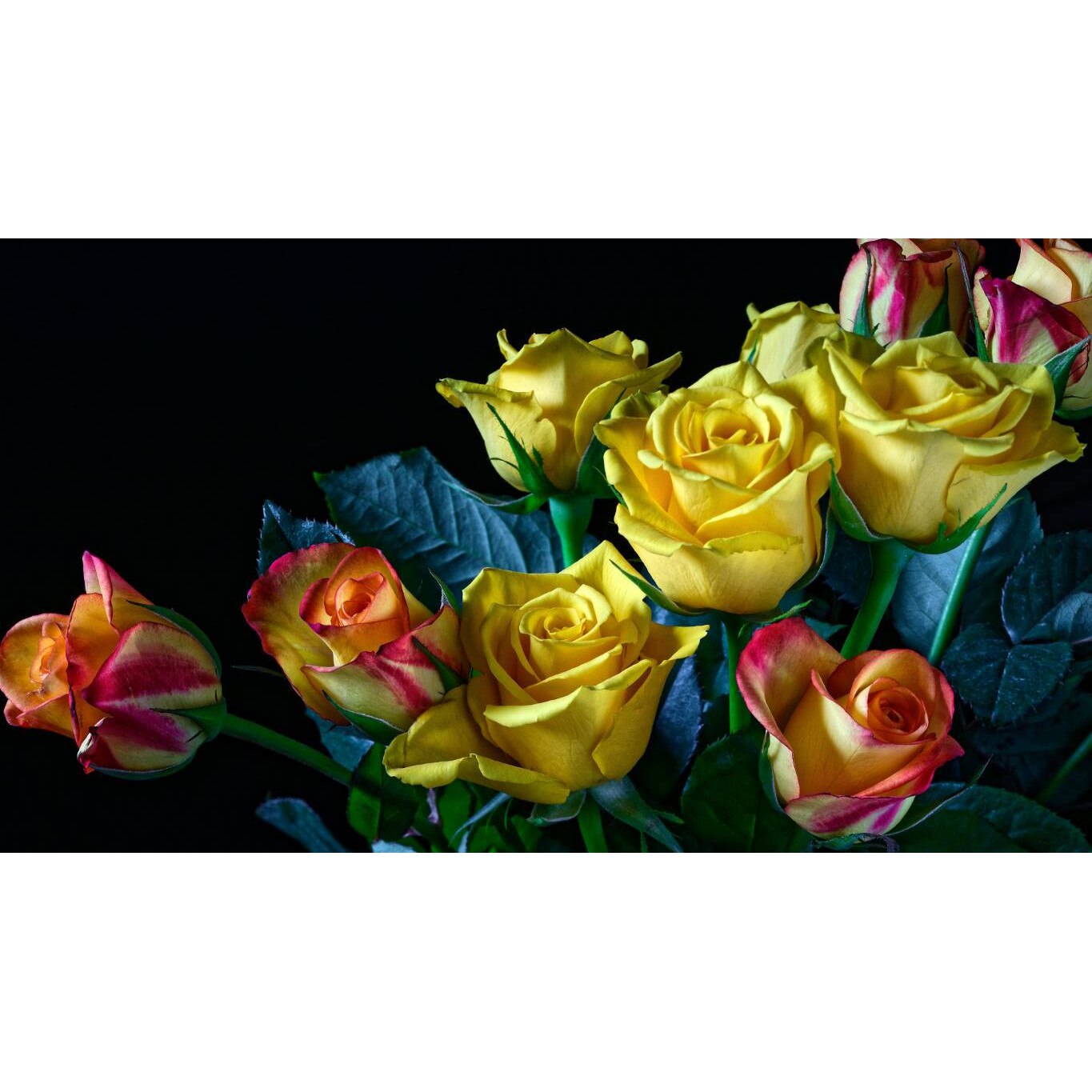 Tablou canvas 90x50 cm, Natura cu Flori model 61