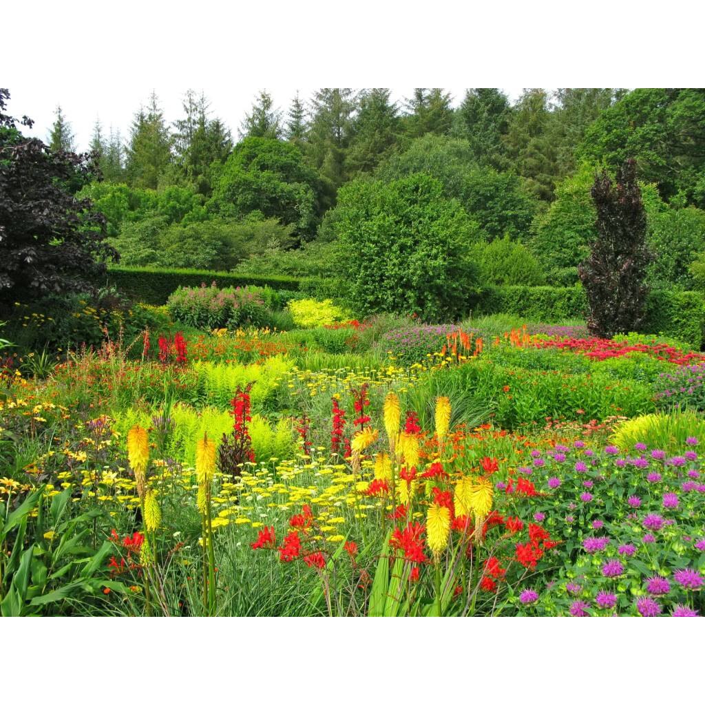 Tablou canvas 90x50 cm, Natura cu Flori model 37