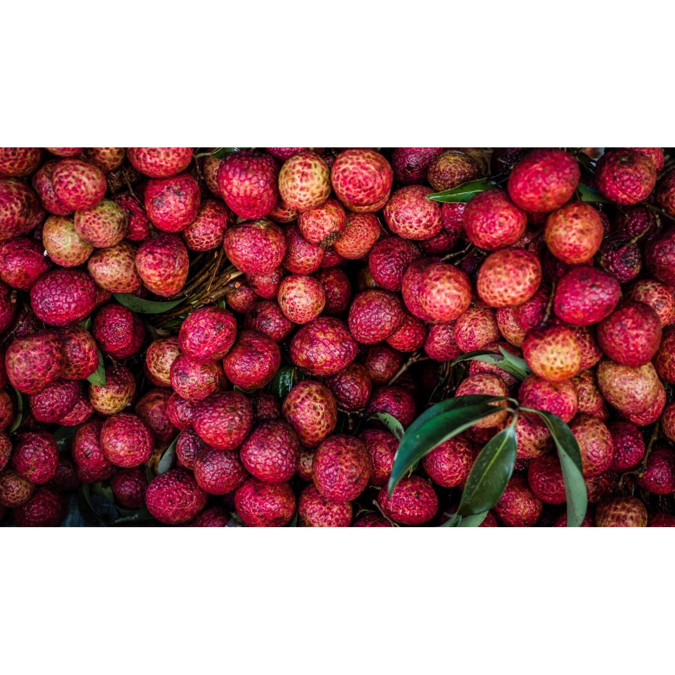 Tablou canvas 90x50 cm, Mancare si Bautura model 96