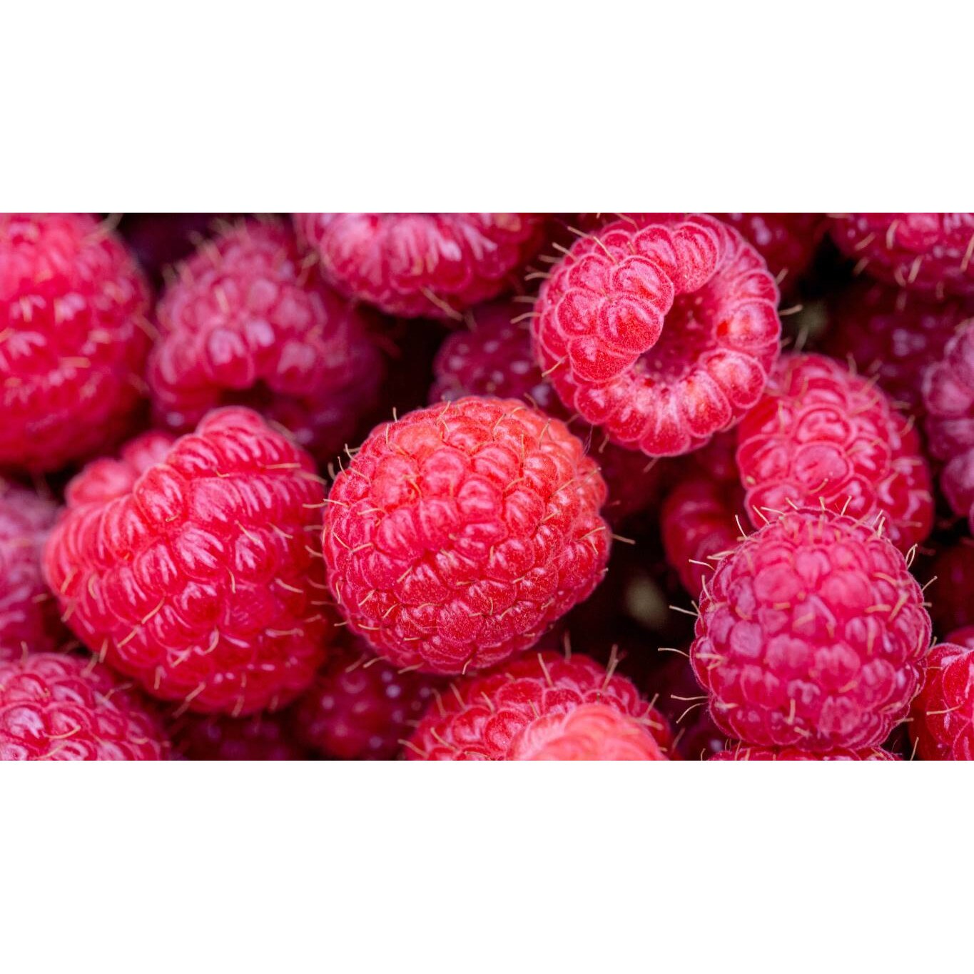 Tablou canvas 90x50 cm, Mancare si Bautura model 158