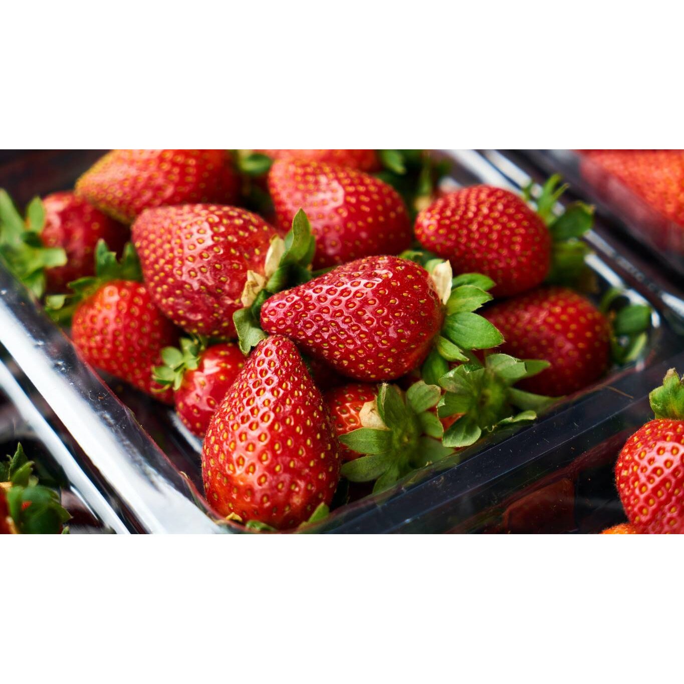 Tablou canvas 75x50 cm, Mancare si Bautura model 167