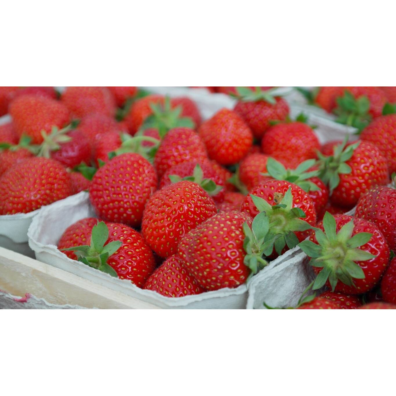 Tablou canvas 75x50 cm, Mancare si Bautura model 181