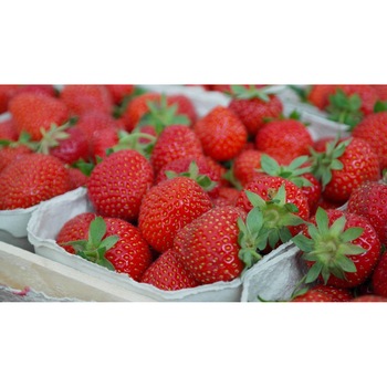 Tablou canvas 90x50 cm, Mancare si Bautura model 181 Tablou canvas 90x50 cm, Mancare si Bautura model 181