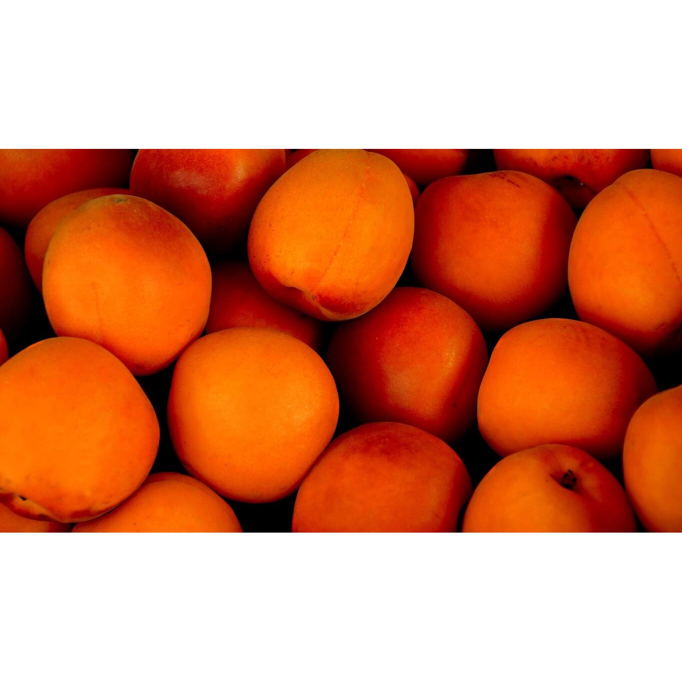 Tablou canvas 90x50 cm, Mancare si Bautura model 193