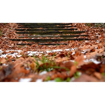 Tablou canvas 75x50 cm, Natura cu Flori model 138 Tablou canvas 75x50 cm, Natura cu Flori model 138